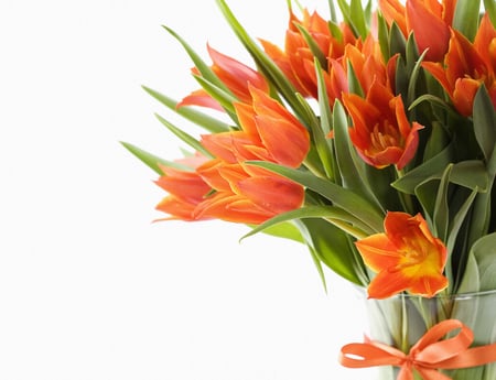 Bouquet - beauty, nice, photography, delicate, tulips, great, bouquet, still life, white, amazing, pretty, cool, orange, ribbon, harmony, lovely, vase, beautiful, tulip, flowers, photo, elegantly, flower