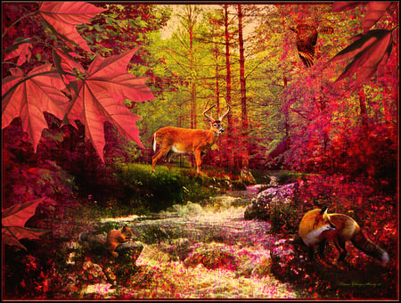 Afternoon in an Autumn Forest - afternoon, fantasy, image, wood, autumn