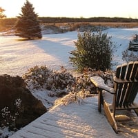 First Snow on My Terrace