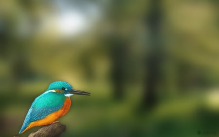 LITTLE BIRD - orange, green, animals, bird