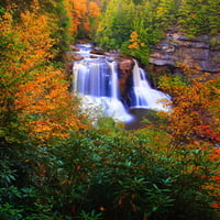 Forest waterfall