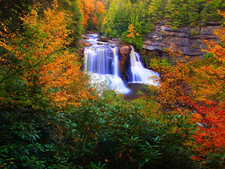 Forest waterfall - nature, autumn, fall, forest, leaves, black water, waterfall