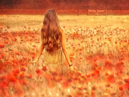 In poppy field - nature, girl, red, long hair, golden, field, poppy