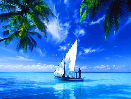 Blue sea - palms, nature, boat, sea, seascape, sky