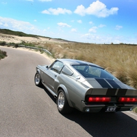 Shelby GT500 Eleanor