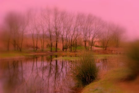 Landscape - seson, water, silence, image, landscape, beauty, colors, nature, purple, autumn, view, background, lakes, country, sky