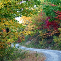 The Colorful Road