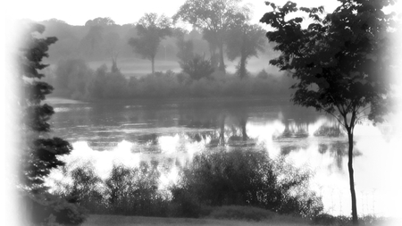 Morning Mist - trees, reflection, river, water, b lack and white, simple, mist