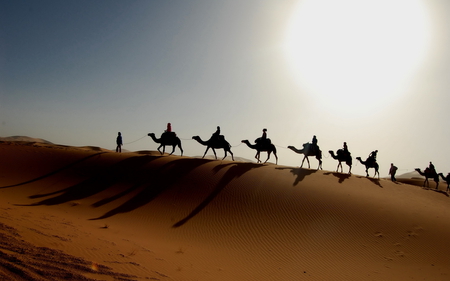 AMAZING CAMELS - wallpaper, cool, nice, action, beautiful, 3d, amazing, hd