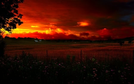 HEAVENLY SUNSET - sunset, country farm, heavenly sunset, sunshine, summer evening