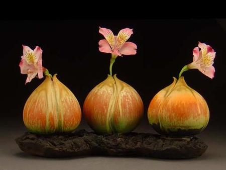 Onion_Bulb_Flowers - picture, cool, flowers, bulb, onion