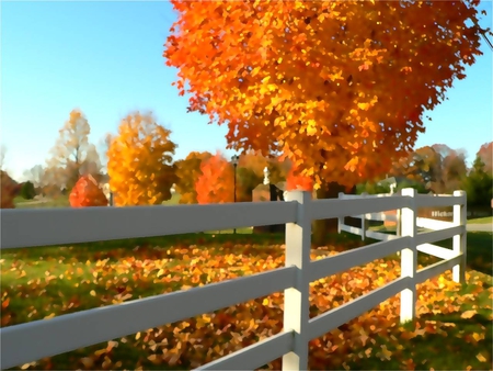 Autumn Sanctuary - seasons, trees, fences, autumn