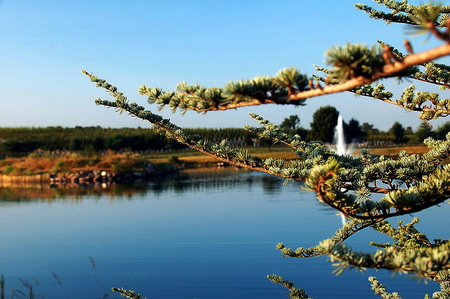 Peek-a-Blue - landscapes, water, flora, streams