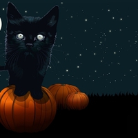 BLACK CAT ON A PUMPKIN