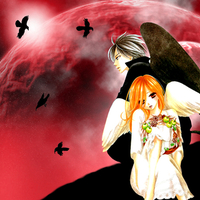 Black Bird -Misao & Kyo