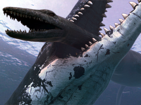 Liopleurodon - teeth, animals, prey, monster, carnivor, sea, ocean