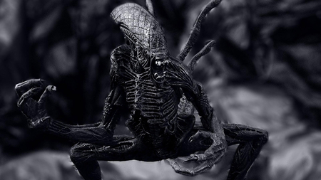 Alien - alien, black, 24, 2011, 10, piocture