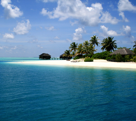 Beach in Maldives - palm trees, beach, maldives, blue sea, white sands, huts