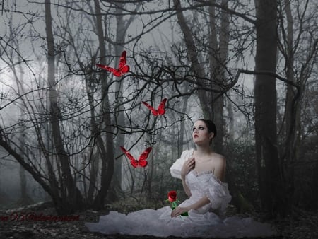 red butterflies - butterfly, abstract, lady, gothic