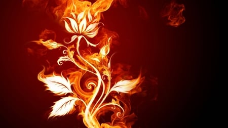 Burning Flowers - burn, abstract, beautiful, in, flame, flowers, cg, burning, hd, flames, 3d