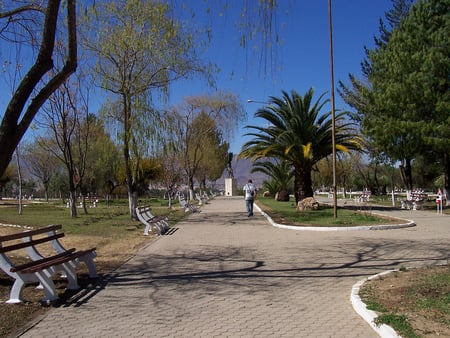 TARIJA - nature, park, trees, tarija