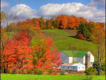 Autumn Landscape - sky, autumn, grass, trees