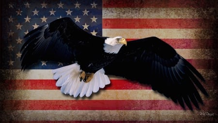 USA - patriot, independence day, 4th of july, firefox persona, usa, national bird, eagle, patriotic, vintage, fly, america, united states of america, flag