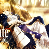 Fate Stay Night