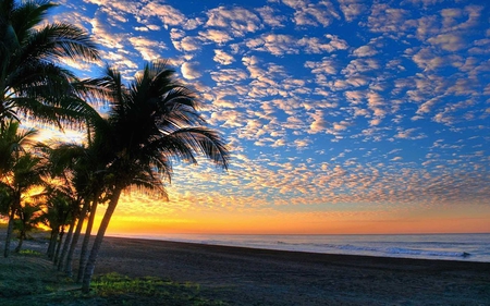 Beach of Beauty - breezing, beach, evening, enjoy, tree, sky