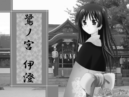 Hayate No Gotoku - girl, dark, anime, dull, cute