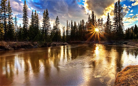 The Golden Lake Reflection - ray, lake, golden, forest, light, reflection