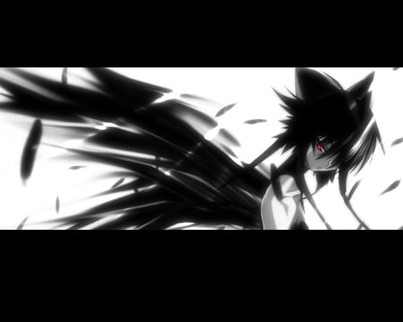 Black Angel - anime, black angel, wings, angel, feathers