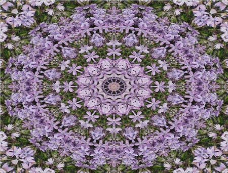 Kaleidoscope of Purple Flower - kaleidoscope, flower, purple, circle