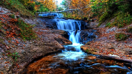 Cool Water - cascade, beautiful, autumn, flowing, stream, fallen, tree