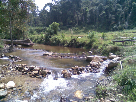 river of Fob Weng - nature, forest, waterfall, river