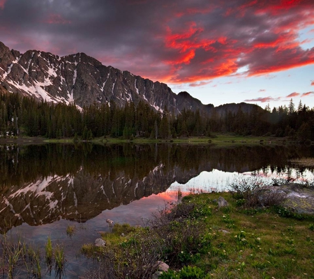 Early Spring - early, trees, mountain, clouds, red, snow, grass, spring