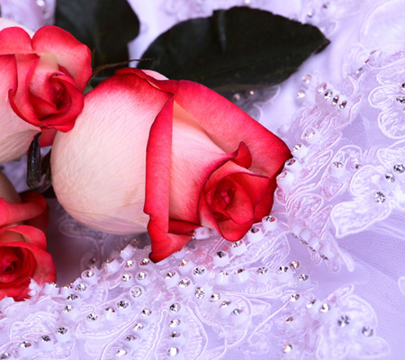 Blushing Roses for charismatic - white, cloth, buds, roses, red, blushing, beads