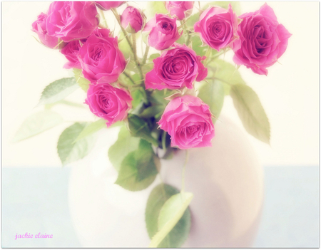 roses - roses, vase, still life, purple