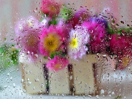 In wet glass - glass, drops, flowers, wet, still life