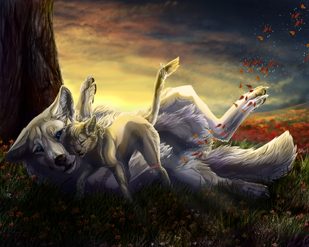 playful - beauty, nature, wolves, animals, cg, artistic