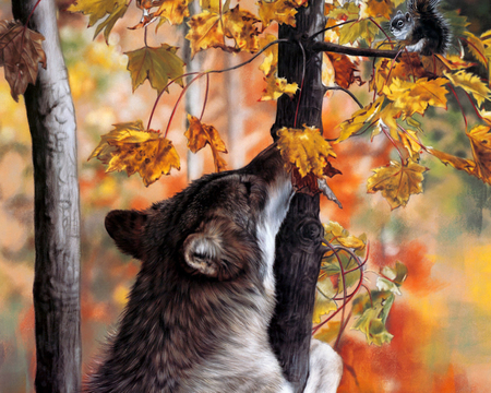  squirrel lover - yellow, wolf, forest, orange, leaves, fall, colorful, animal, nature, autumn, squirrel, wild