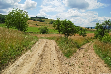 Which turn to take? - fields, sky, country roads, clouds, grass