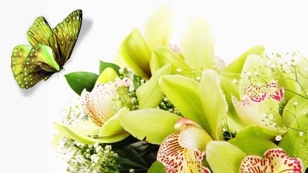 Gorgeous Green - lilies, butterfly, floral, lily, green, summer, flowers, firefox persona