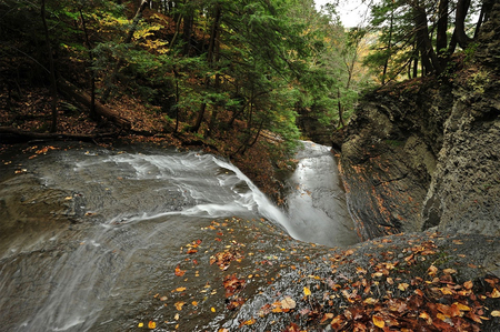 Wavy Rapid Falls - fall, falls, trees, water, leaves, rocks