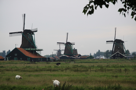 Amsterdam Vacation 20 Windmills - windmills, farms, brown, photography, green, grass