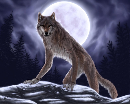 spirit of the moon - 10, spirit, wolf, 26, 2011