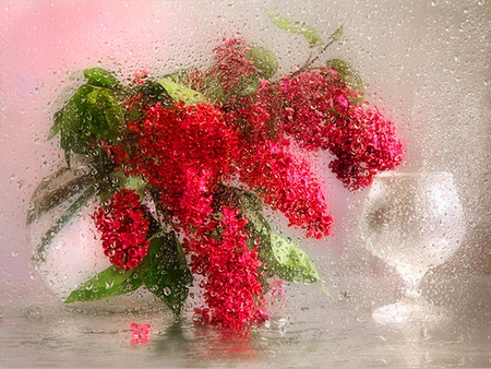 Sad flowers - glass, sad, red, wet, flowers, still life, vase