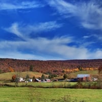 Autumn on the Farm