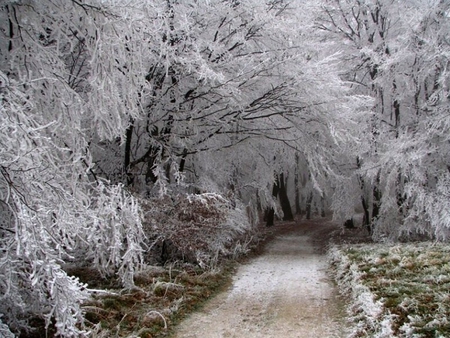 Road to a Fairytale - road, ice, snow, cold