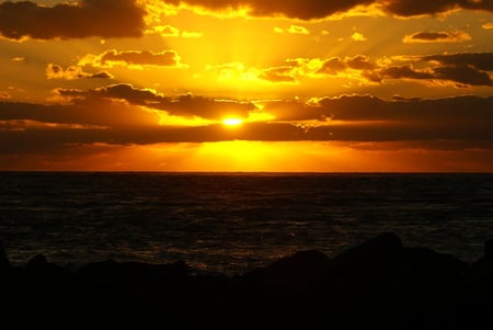 explosion_of_gold - nature, sky, beach, clouds, sunset, gold